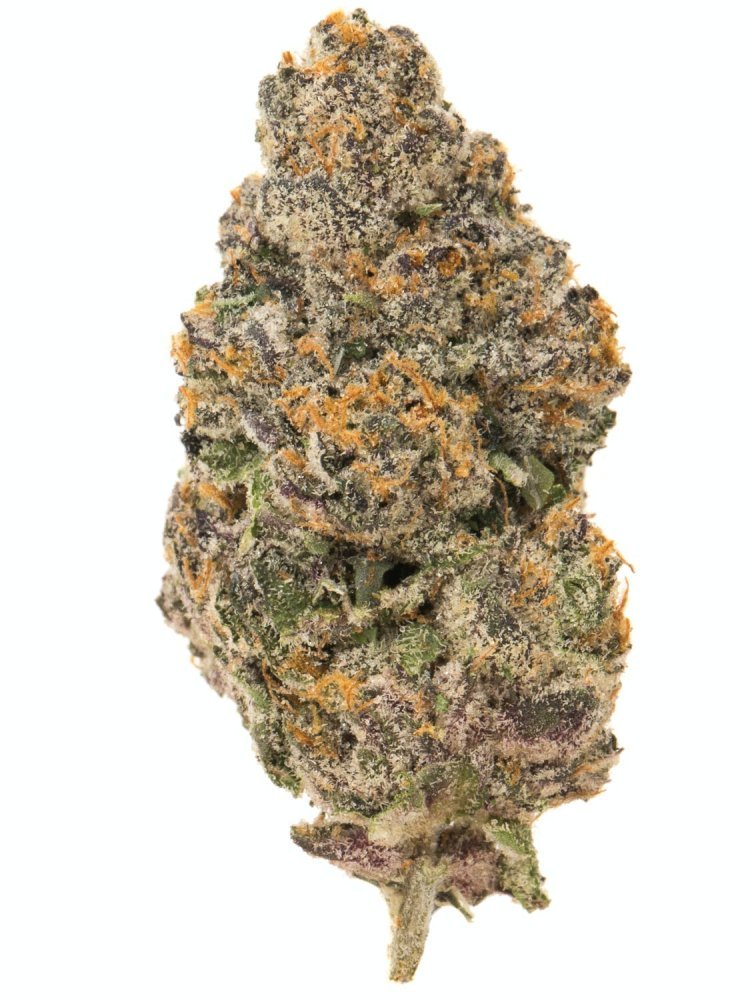 BISCOTTI STRAIN A DELICIOUS DELIGHTED COOKIES TO EAT OR TO GET HIGH